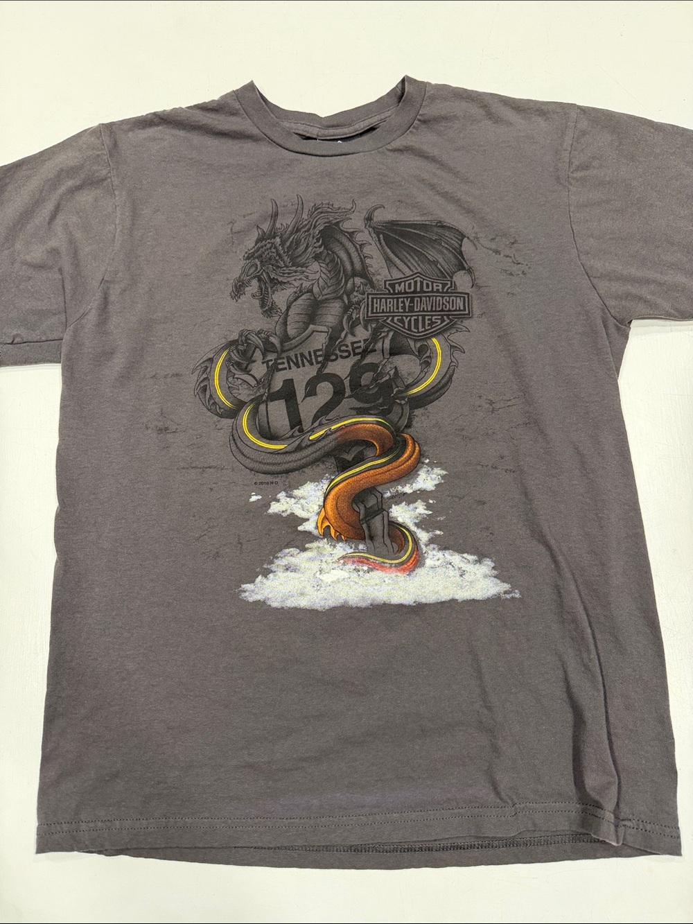 Harley-Davidson Gray Short Sleeve Tee with Dragon & Serpent Graphic